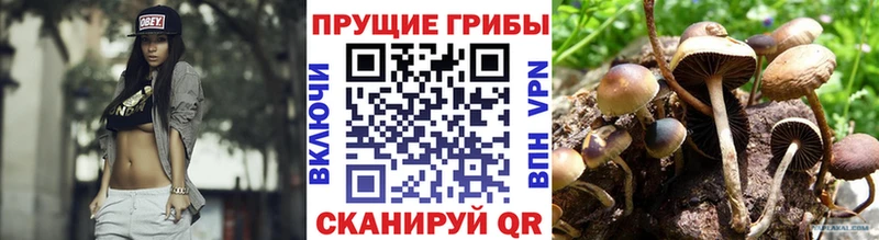 нарко площадка какой сайт  Салаир  Галлюциногенные грибы GOLDEN TEACHER 